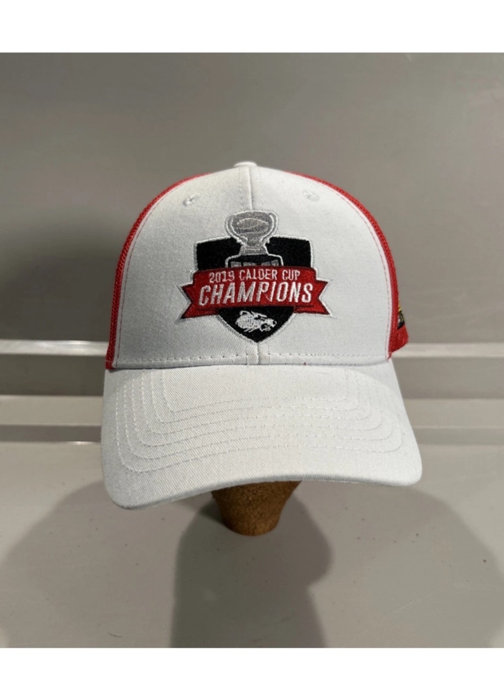 Charlotte Checkers 2019 Calder Cup Champions White Hockey SnapBack Hat Mesh Back